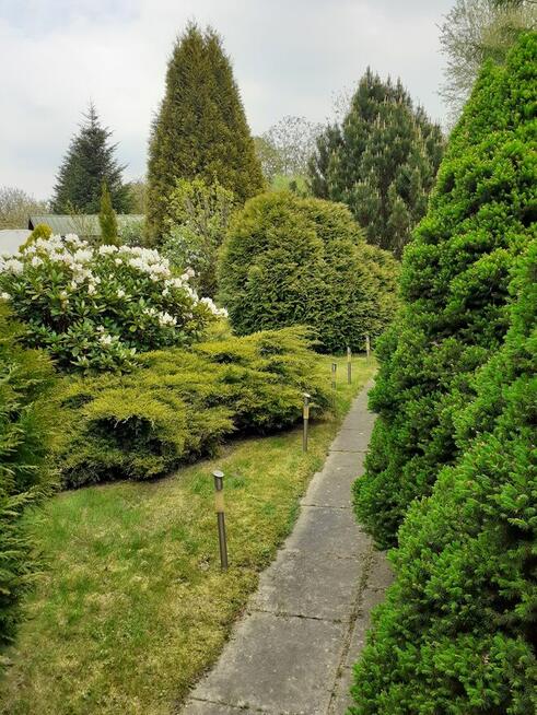 Działka ROD Pod Wierzbami Kraków Golikówka