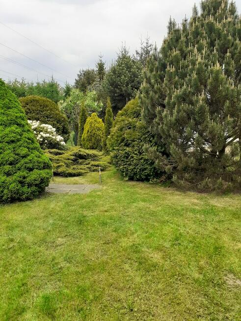 Działka ROD Pod Wierzbami Kraków Golikówka