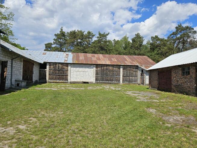 Sprzedam gospodarstwo rolne z zabudowaniami gospodarczymi