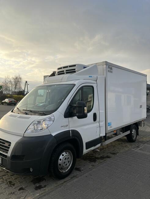 Fiat Ducato Chlodnia