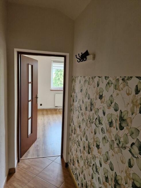 Mieszkanie do wynajęcia