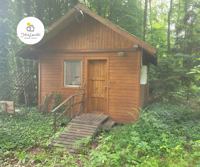 NOWA CENA Wyjątkowa działka z domkiem i stawem – Ryczołek