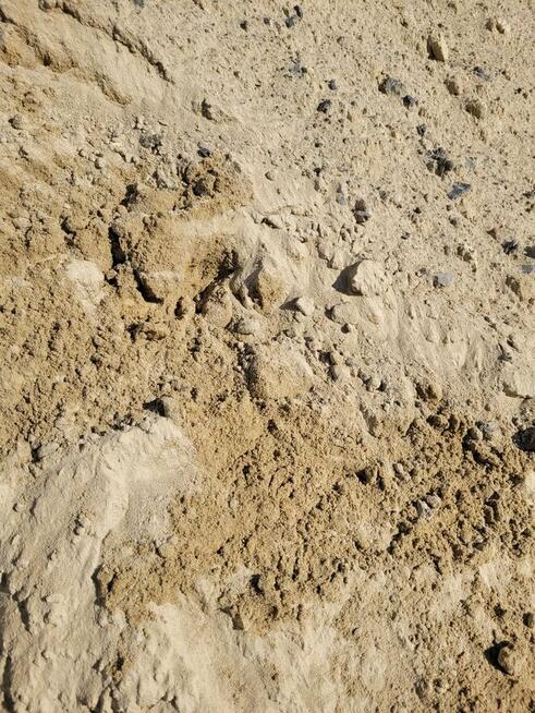 Piasek zasypowy, budowlany, rzeczny - transport 2 - 20 ton