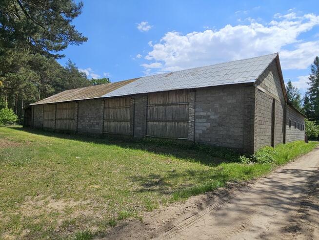 Sprzedam gospodarstwo rolne z zabudowaniami gospodarczymi