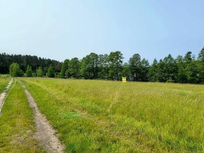 Działka z linią brzegową jeziora Wygryny w Wygrynach