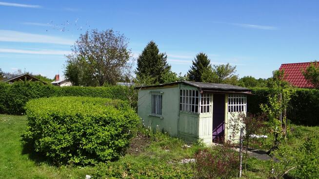 Działka ROD 448m2 w Pile Różyckiego