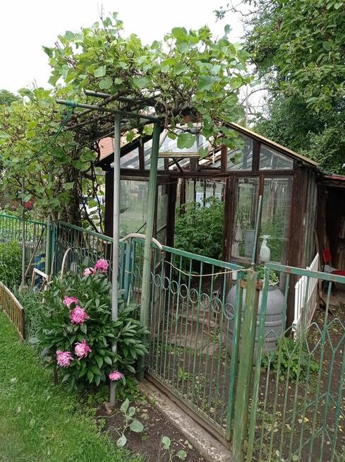 Zgorzelec Mieszkanie 4 pok- bezczynszowe BEZ POŚREDNIKÓW