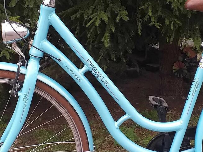 Rower aluminiowy Pegasus