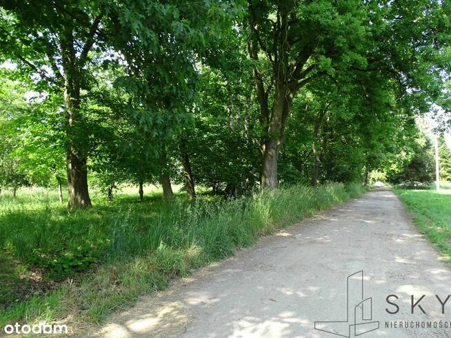 Zajączków – działka pod zabudowę wielorodzinną