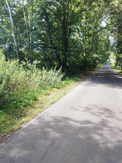 Sprzedam działkę budowlaną w Zawidowie woj dolnośląskie