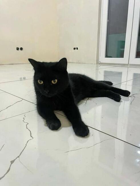 Marcin Generowicz Usługi Remontowo - Wykończeniowe