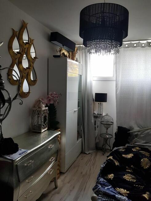 Piękne mieszkanie w centrum Wrocławia zamienię, sprzedam