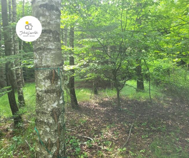 NOWA CENA Wyjątkowa działka z domkiem i stawem – Ryczołek