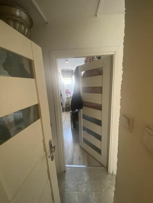 Piękne mieszkanie w centrum Wrocławia zamienię, sprzedam