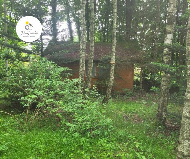 NOWA CENA Wyjątkowa działka z domkiem i stawem – Ryczołek