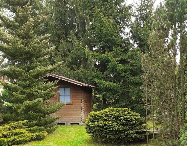 Działka ROD Pod Wierzbami Kraków Golikówka