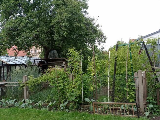 Zgorzelec Mieszkanie 4 pok- bezczynszowe BEZ POŚREDNIKÓW