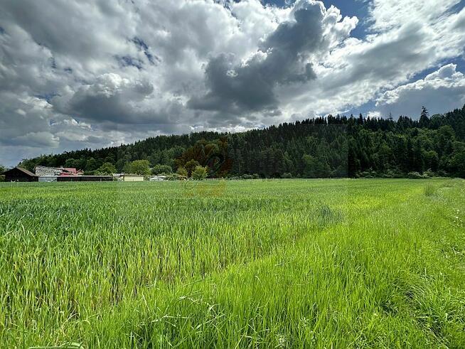 POLECAMY! 113G Gołkowice Dolne gmina Stary Sącz, działka mie
