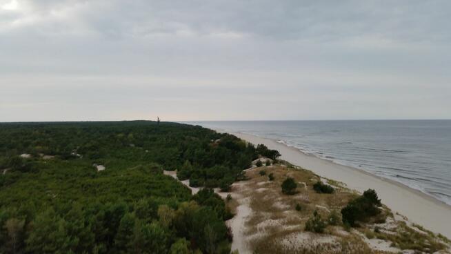 Dyskretnej przyjaciółki