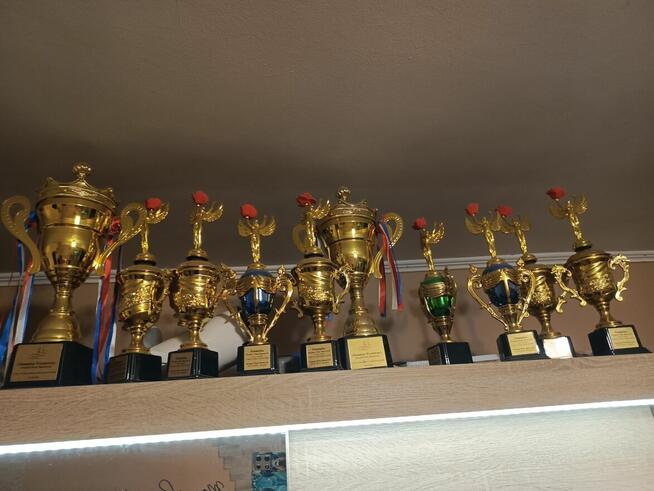 Cudna dziewczynka maltipoo Zapraszam