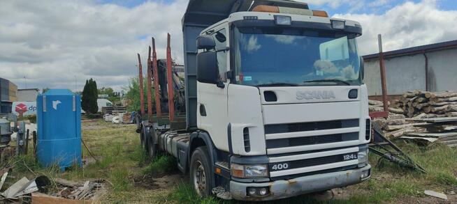 Scania do drzewa lasu