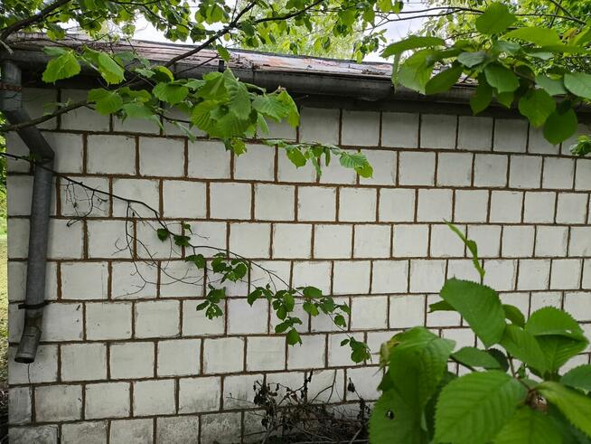 Działka ROD Hortensja Kielce/ Wola Kopcowa