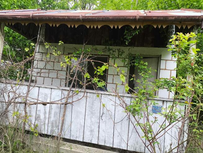 Działka ROD Hortensja Kielce/ Wola Kopcowa