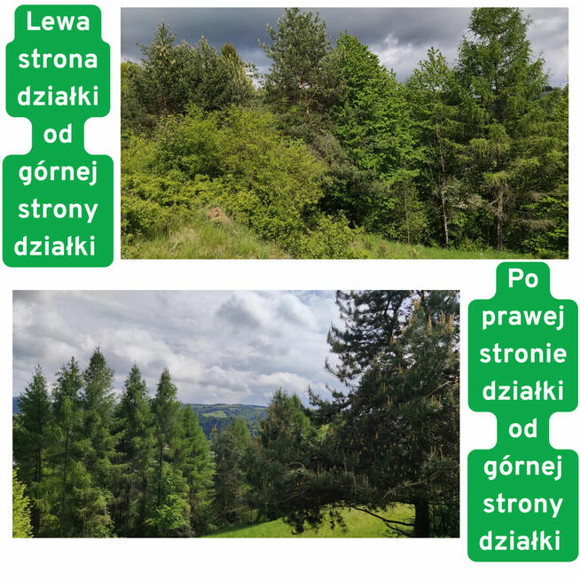 Działka rolna w górach – Szlachtowa 3 072 m² natura, spokój