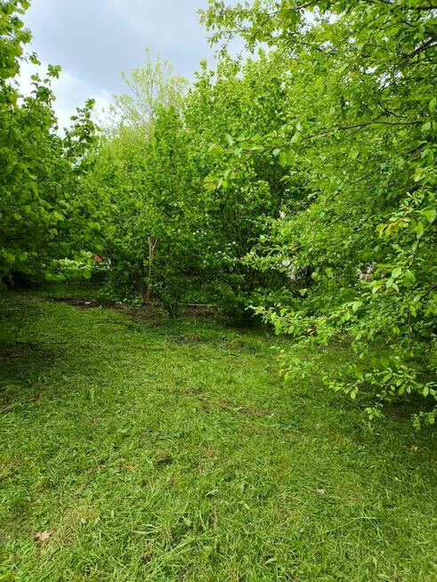 Działka ROD Hortensja Kielce/ Wola Kopcowa