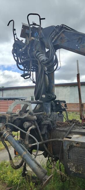 Scania do drzewa lasu