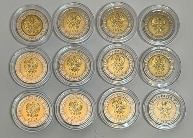 5zł-12 monet okolicznościowych z serii Odkryj Polskę 2018-25