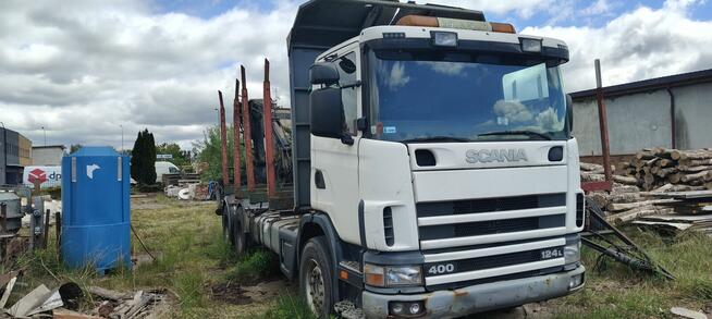 Scania do drzewa lasu