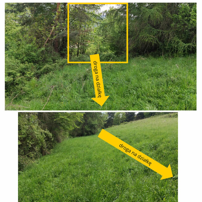 Działka rolna w górach – Szlachtowa 3 072 m² natura, spokój
