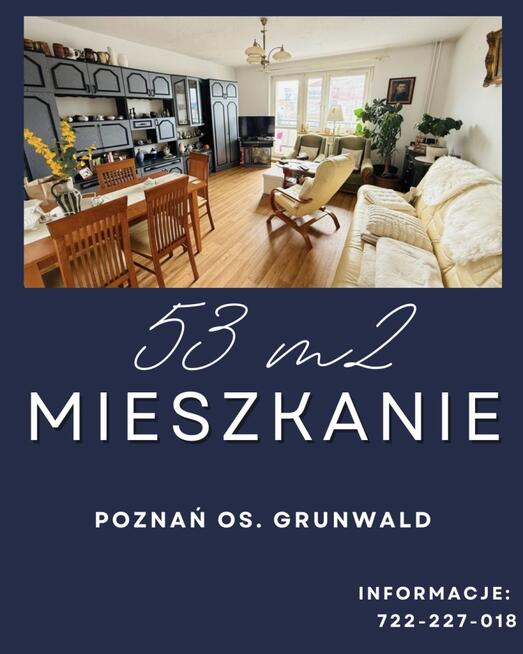 Przestronne Słoneczne Mieszkanie na Os. Grunwald