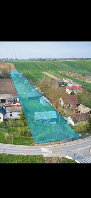 Działka łysaków