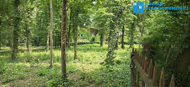 Podkowa Leśna# działka o pow. 2310m2#Starodrzew