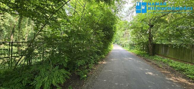 Podkowa Leśna działka o pow. 2310m, Starodrzew