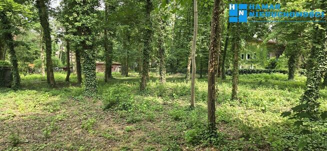 Podkowa Leśna działka o pow. 2310m, Starodrzew