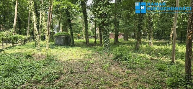 Podkowa Leśna działka o pow. 2310m, Starodrzew