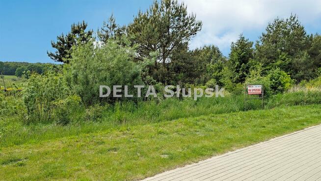 Działka budowlana Dębina gm. Ustka, Jesionowa