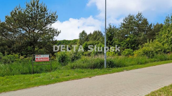 Działka budowlana Dębina gm. Ustka, Jesionowa