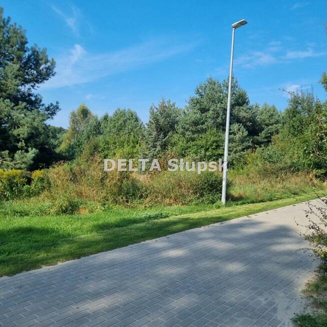 Działka budowlana Dębina gm. Ustka, Jesionowa