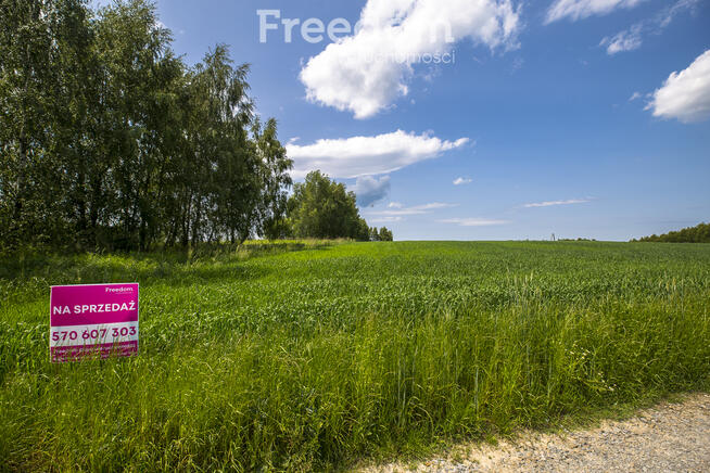 Działka 46 ar z WZ – widok, cisza, natura – Wysoka