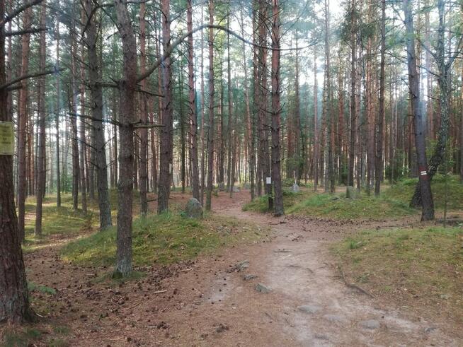 Wynajme Domek, jeziora, lasy, rezerwat przyrody, Kaszuby.