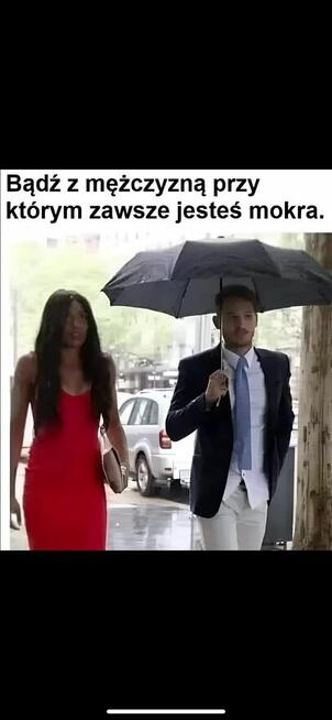 Szukam Koch…….anki