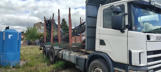 Scania do drzewa lasu