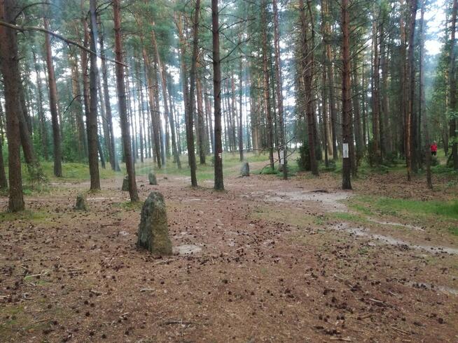 Wynajme Domek, jeziora, lasy, rezerwat przyrody, Kaszuby.