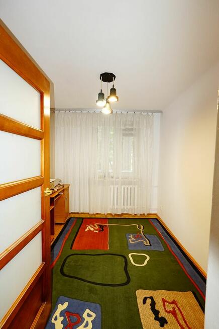 zadbane w okolicy centrum miasta/zielona okolica