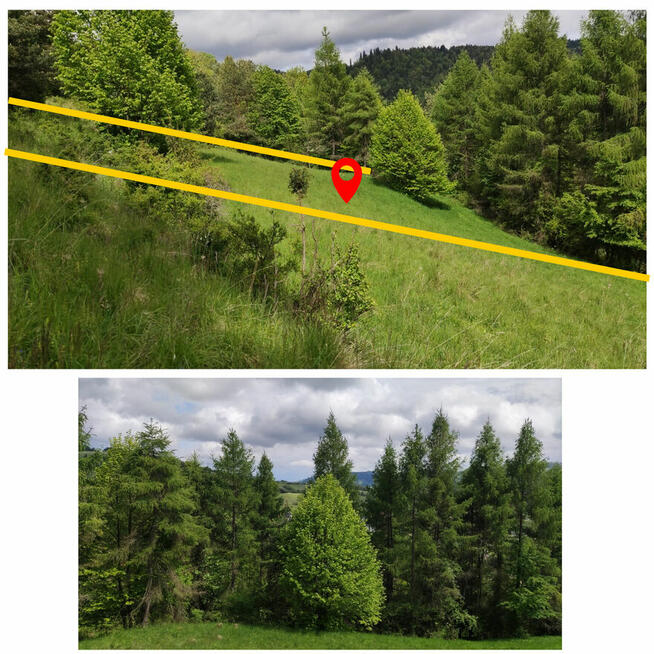 Działka rolna w górach – Szlachtowa 3 072 m² natura, spokój