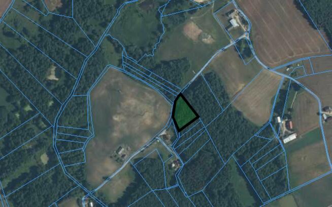 SPRZEDAŻ ! Działka -LAS !!! Rumian gmina Rybno